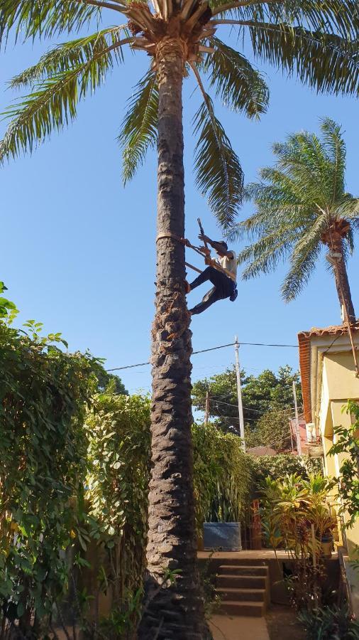 Casa Cacheu II Leilighet Bissau Eksteriør bilde